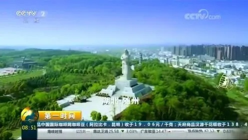 随州广告网站推广怎么做 随州宣传片广告央视视频